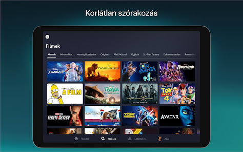 Képernyőkép