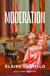 Icon image Moderation: A Novel