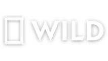 Nat Geo Wild