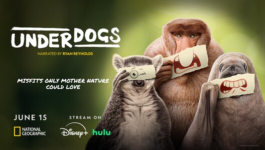 Watch the 'Underdogs' premiere on National Geographic & ABC Sunday, June 15. Stream on Hulu & Disney+