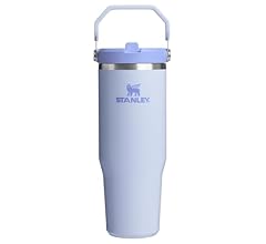 Stanley IceFlow 2.0 Flip Straw Tumbler with Handle 30 oz | Twist On Lid and Flip Up Straw | Leak Resistant Water Bottle | I…
