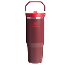 Stanley IceFlow 2.0 Flip Straw Tumbler with Handle 30 oz | Twist On Lid and Flip Up Straw | Leak Resistant Water Bottle | I…